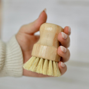 Eco Friendly Dish Brush